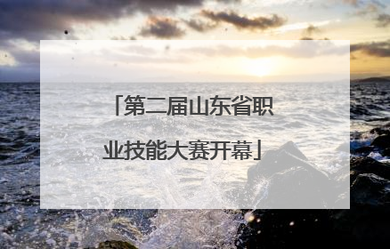 第二届山东省职业技能大赛开幕