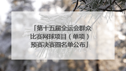 第十五届全运会群众比赛网球项目（单项）预赛决赛圈名单公布