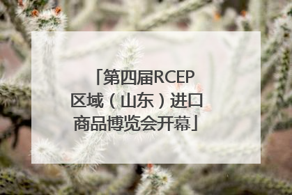 第四届RCEP区域（山东）进口商品博览会开幕