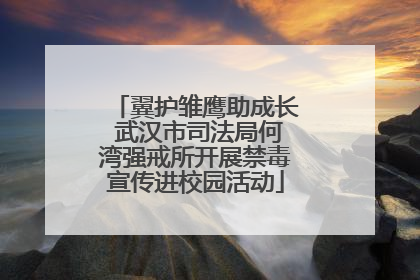翼护雏鹰助成长 武汉市司法局何湾强戒所开展禁毒宣传进校园活动