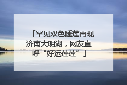 罕见双色睡莲再现济南大明湖，网友直呼“好运莲莲”