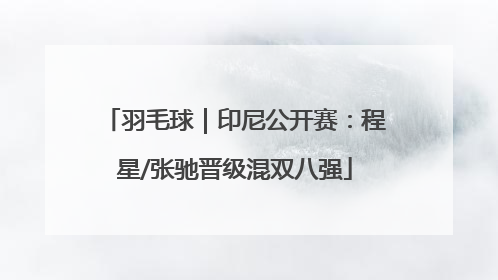 羽毛球｜印尼公开赛：程星/张驰晋级混双八强
