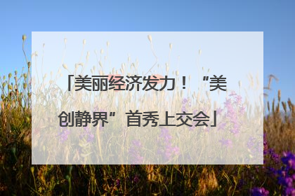 美丽经济发力！“美创静界”首秀上交会
