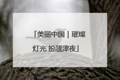美丽中国｜璀璨灯光 扮靓津夜