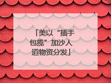 美以“插手包揽”加沙人道物资分发