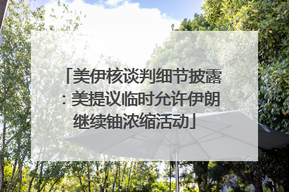 美伊核谈判细节披露：美提议临时允许伊朗继续铀浓缩活动