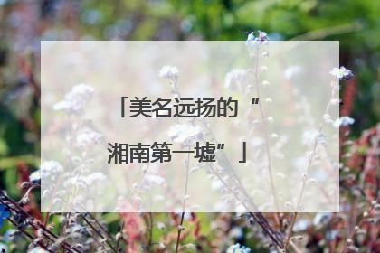 美名远扬的“湘南第一墟”