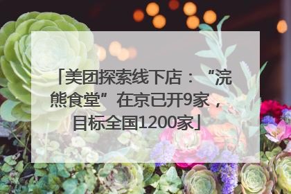 美团探索线下店：“浣熊食堂”在京已开9家，目标全国1200家
