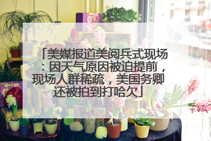 美媒报道美阅兵式现场：因天气原因被迫提前，现场人群稀疏，美国务卿还被拍到打哈欠