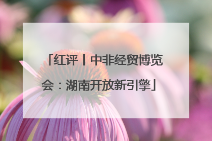 红评丨中非经贸博览会：湖南开放新引擎