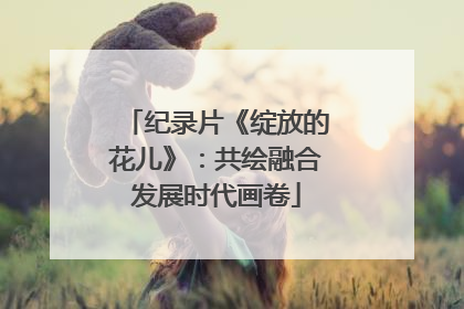 纪录片《绽放的花儿》：共绘融合发展时代画卷