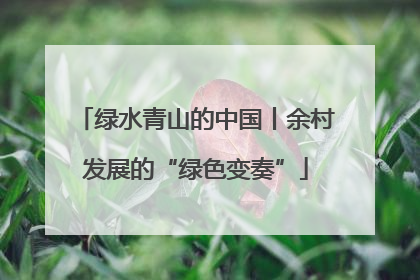 绿水青山的中国丨余村发展的“绿色变奏”