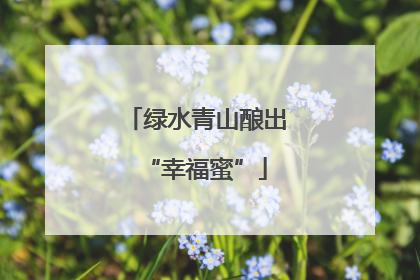 绿水青山酿出“幸福蜜”