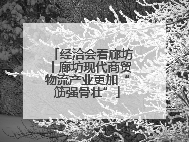 经洽会看廊坊丨廊坊现代商贸物流产业更加“筋强骨壮”