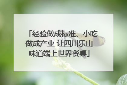 经验做成标准、小吃做成产业 让四川乐山味道端上世界餐桌