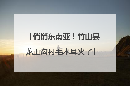 俏销东南亚！竹山县龙王沟村毛木耳火了