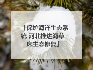 保护海洋生态系统 河北推进海草床生态修复