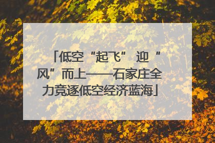 低空“起飞” 迎“风”而上——石家庄全力竞逐低空经济蓝海