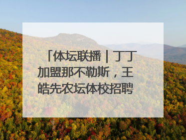 体坛联播｜丁丁加盟那不勒斯，王皓先农坛体校招聘笔试第一