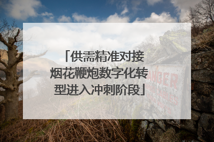 供需精准对接 烟花鞭炮数字化转型进入冲刺阶段