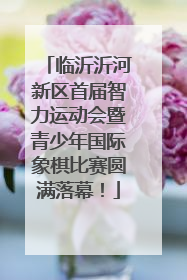 临沂沂河新区首届智力运动会暨青少年国际象棋比赛圆满落幕！