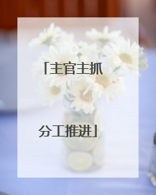 主官主抓 分工推进