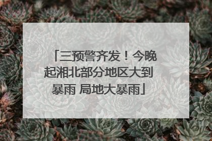 三预警齐发！今晚起湘北部分地区大到暴雨 局地大暴雨