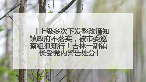 上级多次下发整改通知镇政府不落实，被市委巡察组抓现行！吉林一副镇长受党内警告处分