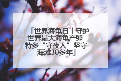 世界海龟日丨守护世界最大海龟产卵 特多“守夜人”坚守海滩30多年