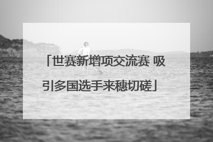 世赛新增项交流赛 吸引多国选手来穗切磋