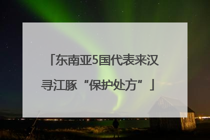 东南亚5国代表来汉寻江豚“保护处方”