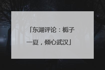 东湖评论：栀子一夏，倾心武汉