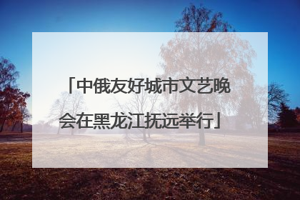 中俄友好城市文艺晚会在黑龙江抚远举行