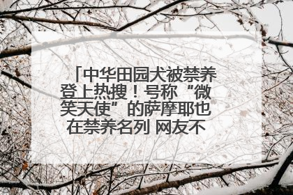 中华田园犬被禁养登上热搜！号称“微笑天使”的萨摩耶也在禁养名列 网友不解西安多部门回应