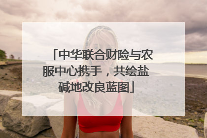 中华联合财险与农服中心携手，共绘盐碱地改良蓝图