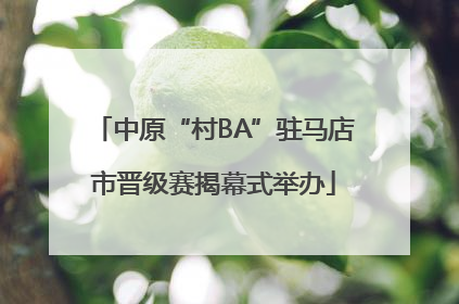 中原“村BA”驻马店市晋级赛揭幕式举办