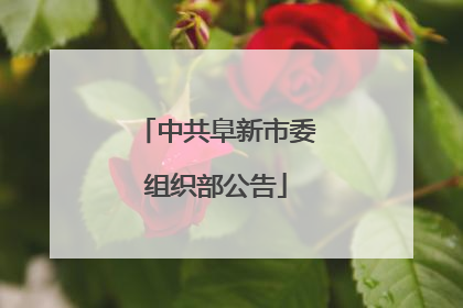 中共阜新市委组织部公告