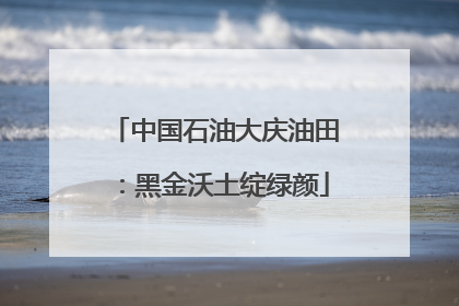 中国石油大庆油田：黑金沃土绽绿颜