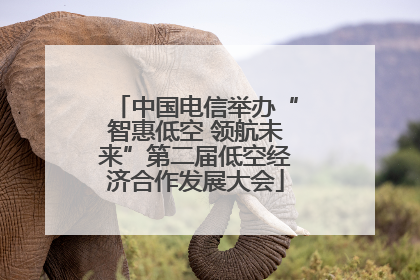 中国电信举办“智惠低空 领航未来”第二届低空经济合作发展大会