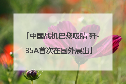 中国战机巴黎吸睛 歼-35A首次在国外展出