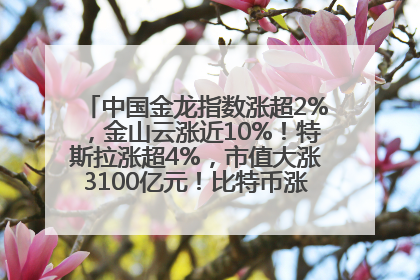 中国金龙指数涨超2%，金山云涨近10%！特斯拉涨超4%，市值大涨3100亿元！比特币涨回11万美元关口