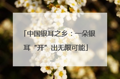 中国银耳之乡：一朵银耳“开”出无限可能
