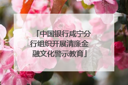 中国银行咸宁分行组织开展清廉金融文化警示教育