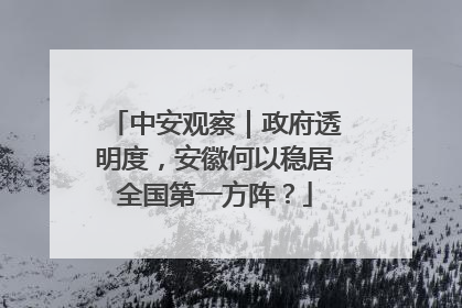 中安观察｜政府透明度，安徽何以稳居全国第一方阵？