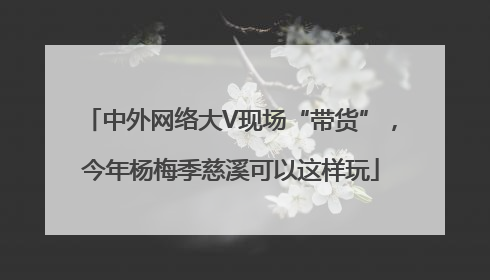中外网络大V现场“带货”，今年杨梅季慈溪可以这样玩