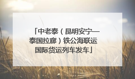 中老泰（昆明安宁—泰国拉廊）铁公海联运国际货运列车发车
