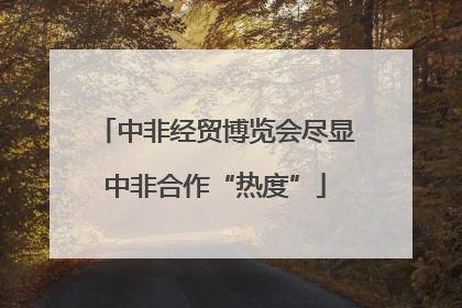 中非经贸博览会尽显中非合作“热度”