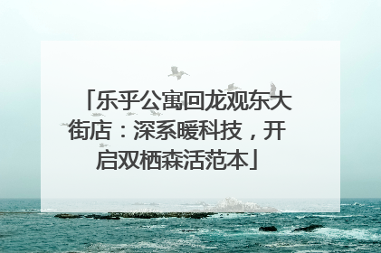 乐乎公寓回龙观东大街店：深系暖科技，开启双栖森活范本