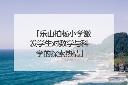 乐山柏杨小学激发学生对数学与科学的探索热情