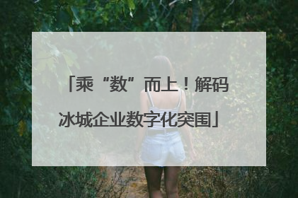 乘“数”而上！解码冰城企业数字化突围